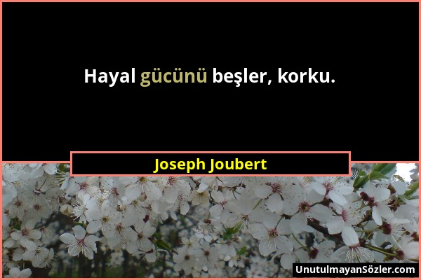 Joseph Joubert - Hayal gücünü beşler, korku....