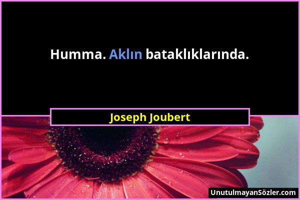 Joseph Joubert - Humma. Aklın bataklıklarında....