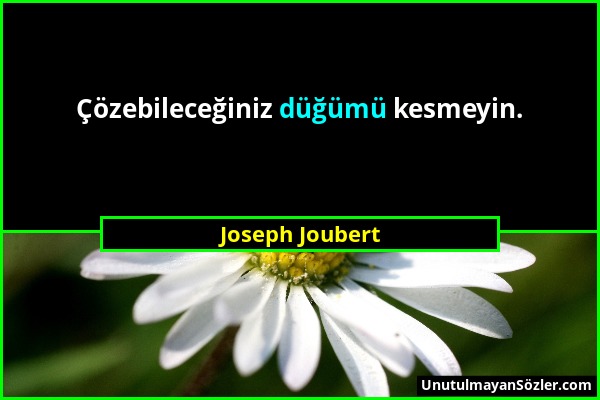 Joseph Joubert - Çözebileceğiniz düğümü kesmeyin....