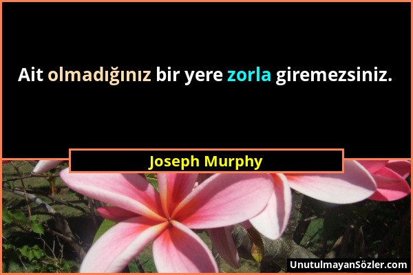 Joseph Murphy - Ait olmadığınız bir yere zorla giremezsiniz....