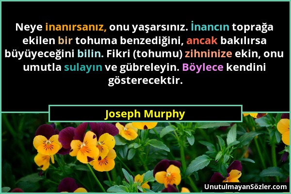 Joseph Murphy - Neye inanırsanız, onu yaşarsınız. İnancın toprağa ekilen bir tohuma benzediğini, ancak bakılırsa büyüyeceğini bilin. Fikri (tohumu) zi...
