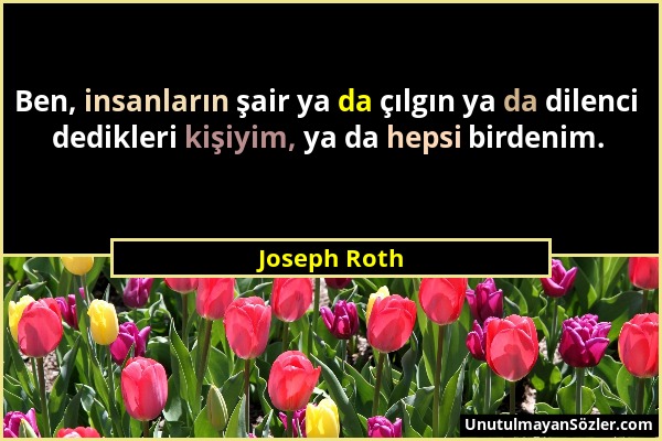 Joseph Roth - Ben, insanların şair ya da çılgın ya da dilenci dedikleri kişiyim, ya da hepsi birdenim....