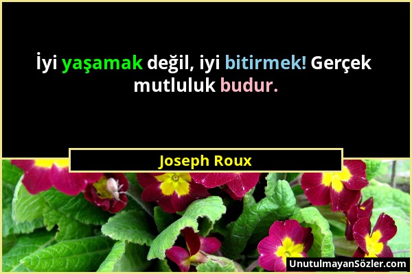 Joseph Roux - İyi yaşamak değil, iyi bitirmek! Gerçek mutluluk budur....