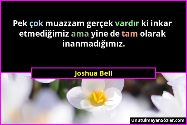 Joshua Bell - Pek çok muazzam gerçek vardır ki inkar etmediğimiz ama yine de tam olarak inanmadığımız....