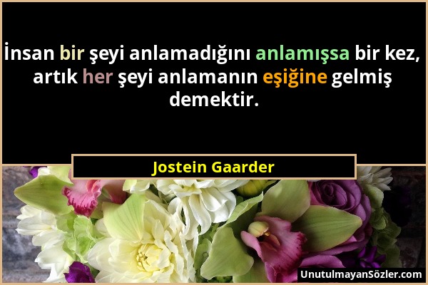 Jostein Gaarder - İnsan bir şeyi anlamadığını anlamışsa bir kez, artık her şeyi anlamanın eşiğine gelmiş demektir....
