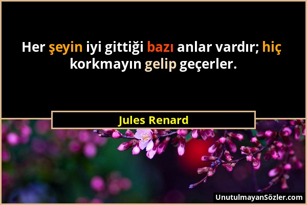 Jules Renard - Her şeyin iyi gittiği bazı anlar vardır; hiç korkmayın gelip geçerler....