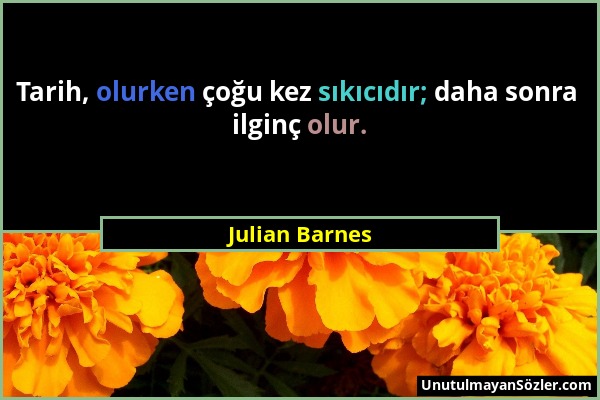 Julian Barnes - Tarih, olurken çoğu kez sıkıcıdır; daha sonra ilginç olur....