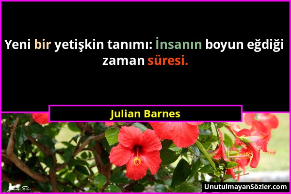 Julian Barnes - Yeni bir yetişkin tanımı: İnsanın boyun eğdiği zaman süresi....