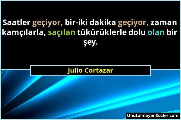 Julio Cortazar - Saatler geçiyor, bir-iki dakika geçiyor, zaman kamçılarla, saçılan tükürüklerle dolu olan bir şey....