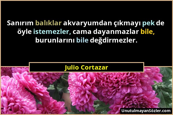 Julio Cortazar - Sanırım balıklar akvaryumdan çıkmayı pek de öyle istemezler, cama dayanmazlar bile, burunlarını bile değdirmezler....