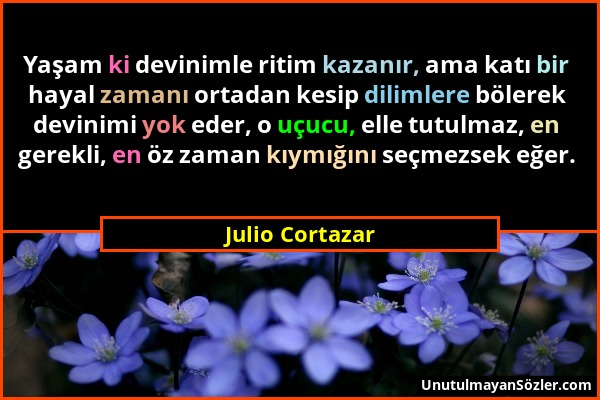 Julio Cortazar - Yaşam ki devinimle ritim kazanır, ama katı bir hayal zamanı ortadan kesip dilimlere bölerek devinimi yok eder, o uçucu, elle tutulmaz...