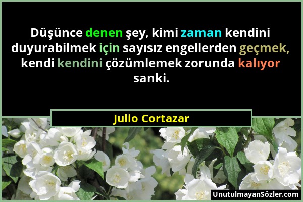 Julio Cortazar - Düşünce denen şey, kimi zaman kendini duyurabilmek için sayısız engellerden geçmek, kendi kendini çözümlemek zorunda kalıyor sanki....