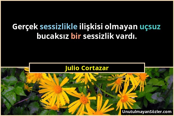 Julio Cortazar - Gerçek sessizlikle ilişkisi olmayan uçsuz bucaksız bir sessizlik vardı....