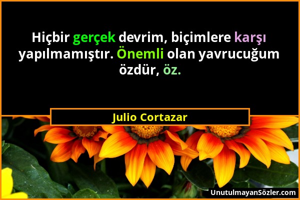 Julio Cortazar - Hiçbir gerçek devrim, biçimlere karşı yapılmamıştır. Önemli olan yavrucuğum özdür, öz....