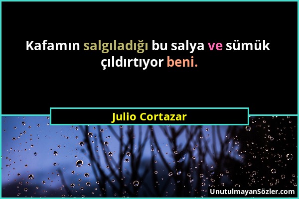 Julio Cortazar - Kafamın salgıladığı bu salya ve sümük çıldırtıyor beni....