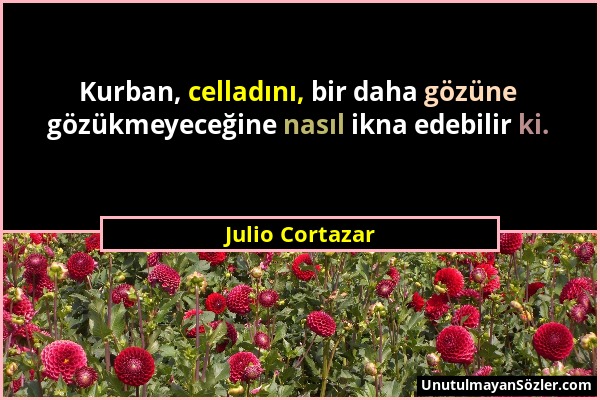 Julio Cortazar - Kurban, celladını, bir daha gözüne gözükmeyeceğine nasıl ikna edebilir ki....