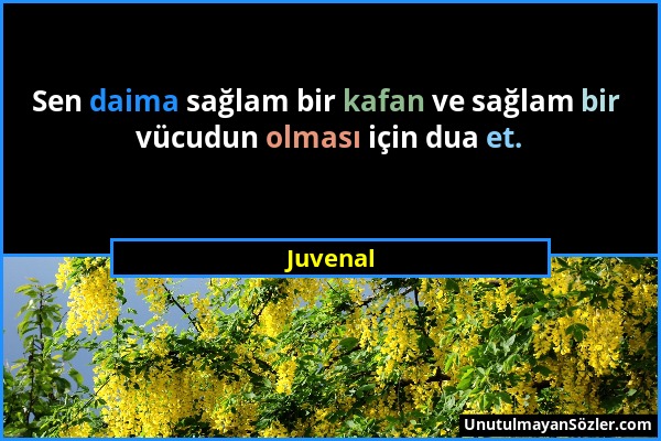 Juvenal - Sen daima sağlam bir kafan ve sağlam bir vücudun olması için dua et....
