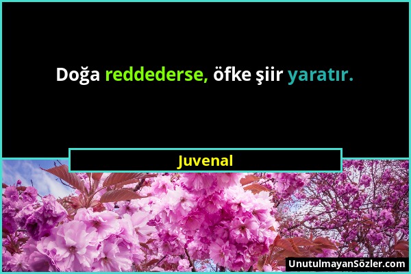 Juvenal - Doğa reddederse, öfke şiir yaratır....