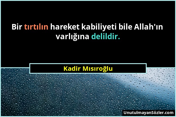 Kadir Mısıroğlu - Bir tırtılın hareket kabiliyeti bile Allah'ın varlığına delildir....