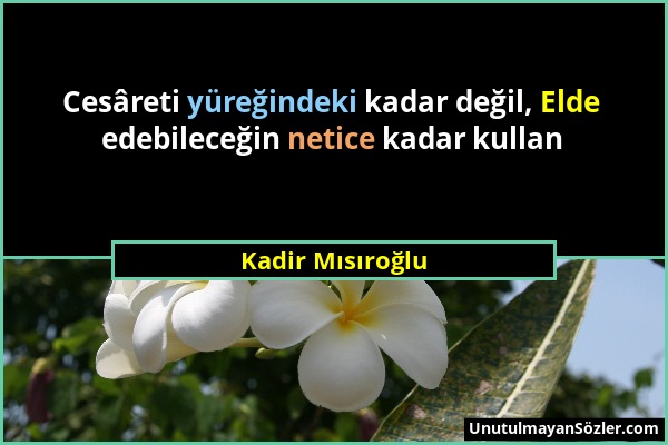 Kadir Mısıroğlu - Cesâreti yüreğindeki kadar değil, Elde edebileceğin netice kadar kullan...