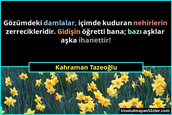 Kahraman Tazeoğlu - Gözümdeki damlalar, içimde kuduran nehirlerin zerrecikleridir. Gidişin öğretti bana; bazı aşklar aşka ihanettir!...
