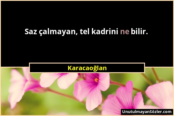 Karacaoğlan - Saz çalmayan, tel kadrini ne bilir....