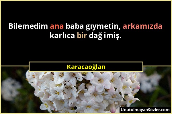 Karacaoğlan - Bilemedim ana baba gıymetin, arkamızda karlıca bir dağ imiş....