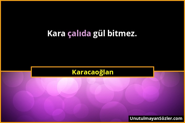 Karacaoğlan - Kara çalıda gül bitmez....