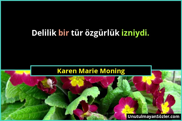 Karen Marie Moning - Delilik bir tür özgürlük izniydi....
