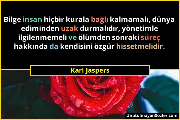 Karl Jaspers - Bilge insan hiçbir kurala bağlı kalmamalı, dünya ediminden uzak durmalıdır, yönetimle ilgilenmemeli ve ölümden sonraki süreç hakkında d...