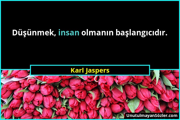 Karl Jaspers - Düşünmek, insan olmanın başlangıcıdır....