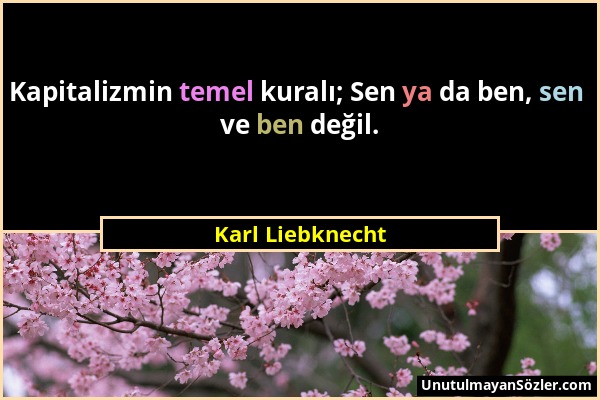 Karl Liebknecht - Kapitalizmin temel kuralı; Sen ya da ben, sen ve ben değil....