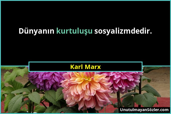 Karl Marx - Dünyanın kurtuluşu sosyalizmdedir....