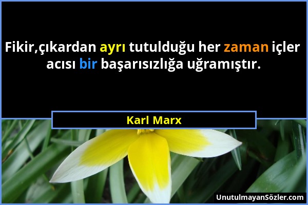 Karl Marx - Fikir,çıkardan ayrı tutulduğu her zaman içler acısı bir başarısızlığa uğramıştır....