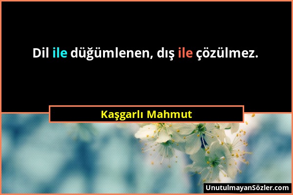 Kaşgarlı Mahmut - Dil ile düğümlenen, dış ile çözülmez....