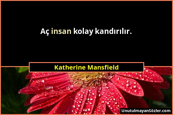 Katherine Mansfield - Aç insan kolay kandırılır....