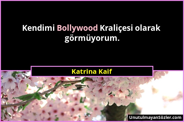 Katrina Kaif - Kendimi Bollywood Kraliçesi olarak görmüyorum....
