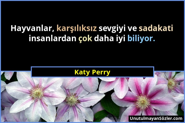 Katy Perry - Hayvanlar, karşılıksız sevgiyi ve sadakati insanlardan çok daha iyi biliyor....