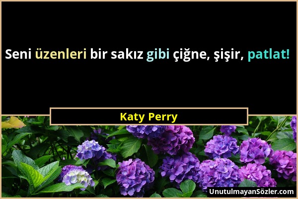 Katy Perry - Seni üzenleri bir sakız gibi çiğne, şişir, patlat!...