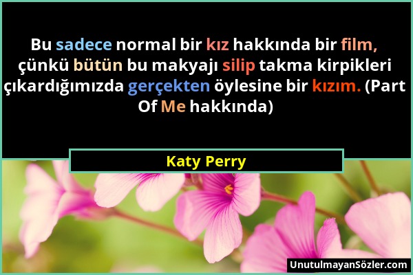 Katy Perry - Bu sadece normal bir kız hakkında bir film, çünkü bütün bu makyajı silip takma kirpikleri çıkardığımızda gerçekten öylesine bir kızım. (P...