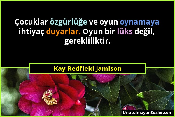 Kay Redfield Jamison - Çocuklar özgürlüğe ve oyun oynamaya ihtiyaç duyarlar. Oyun bir lüks değil, gerekliliktir....