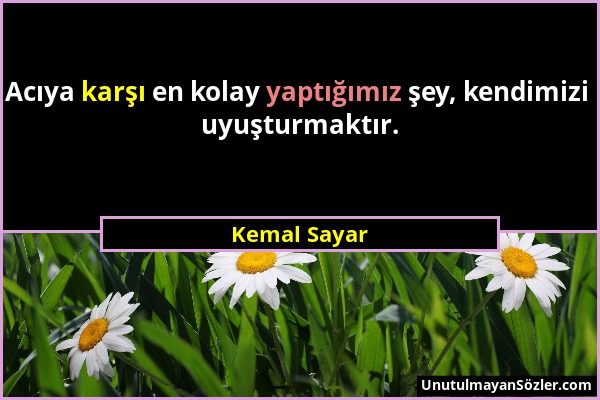 Kemal Sayar - Acıya karşı en kolay yaptığımız şey, kendimizi uyuşturmaktır....