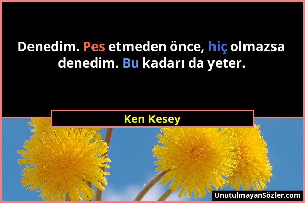 Ken Kesey - Denedim. Pes etmeden önce, hiç olmazsa denedim. Bu kadarı da yeter....