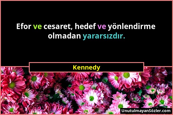 Kennedy - Efor ve cesaret, hedef ve yönlendirme olmadan yararsızdır....