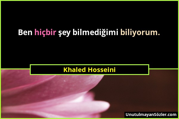 Khaled Hosseini - Ben hiçbir şey bilmediğimi biliyorum....