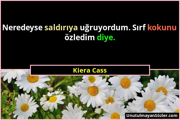 Kiera Cass - Neredeyse saldırıya uğruyordum. Sırf kokunu özledim diye....