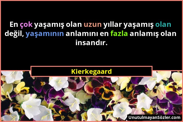 Kierkegaard - En çok yaşamış olan uzun yıllar yaşamış olan değil, yaşamının anlamını en fazla anlamış olan insandır....