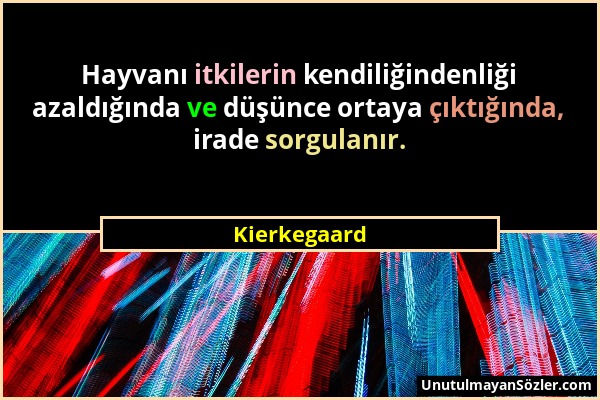 Kierkegaard - Hayvanı itkilerin kendiliğindenliği azaldığında ve düşünce ortaya çıktığında, irade sorgulanır....