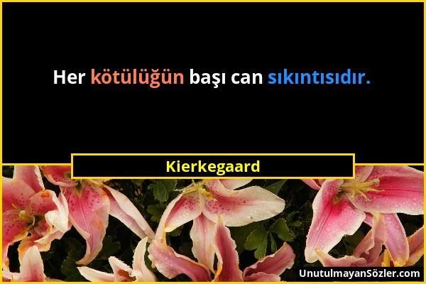 Kierkegaard - Her kötülüğün başı can sıkıntısıdır....