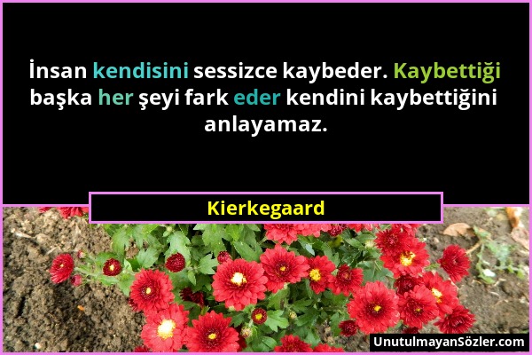 Kierkegaard - İnsan kendisini sessizce kaybeder. Kaybettiği başka her şeyi fark eder kendini kaybettiğini anlayamaz....